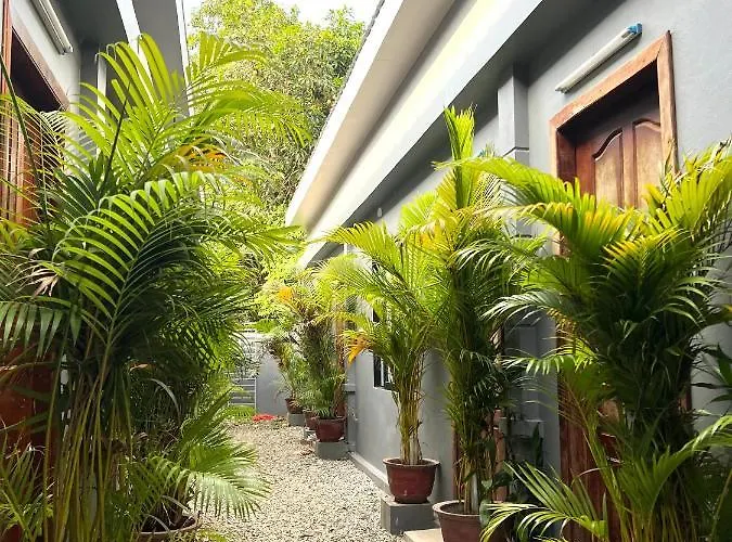 Alloggio in famiglia Angkor Piseth Siem Reap