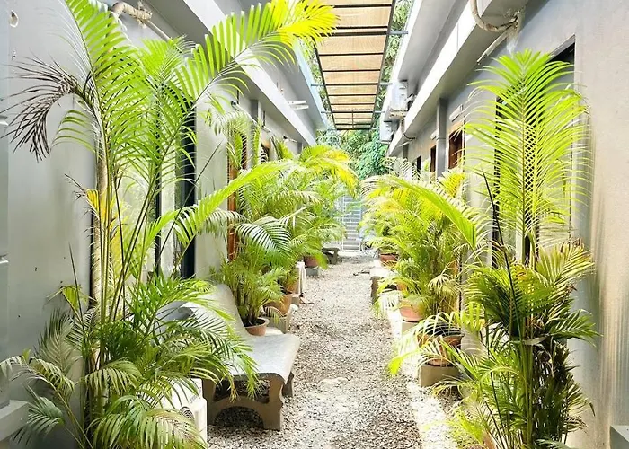 Alloggio in famiglia Angkor Piseth Siem Reap